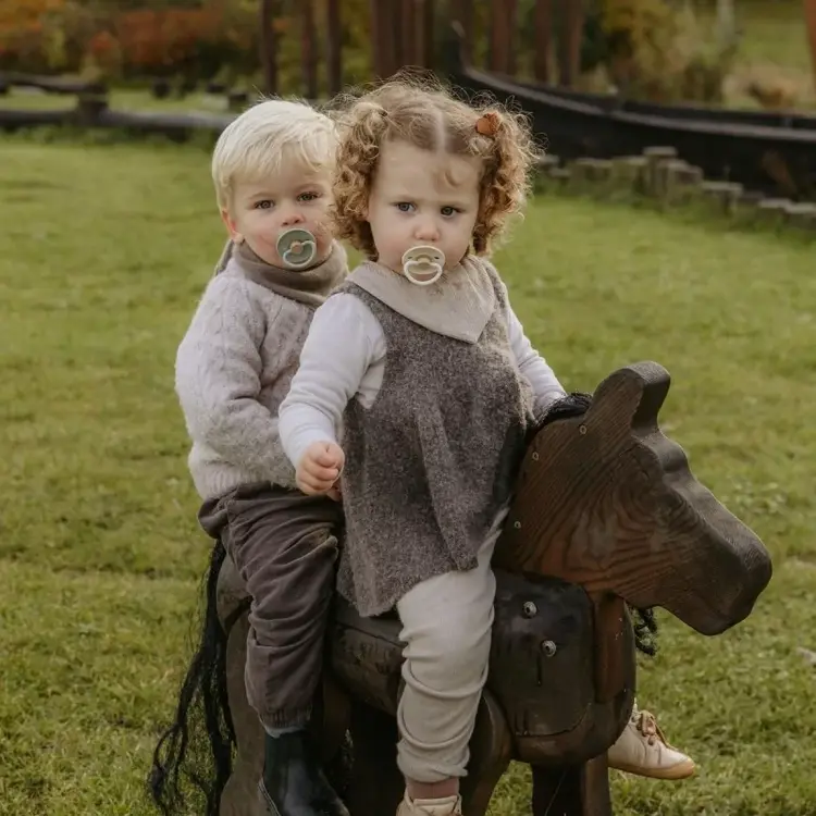 Little Viking Fopspeen - 2p - Sage / Cream