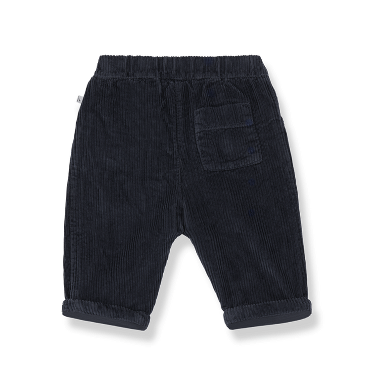 1+ in the family Quebec Lined Pants - Blue
