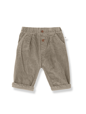 1+ in the family Quebec Lined Pants - Canapa