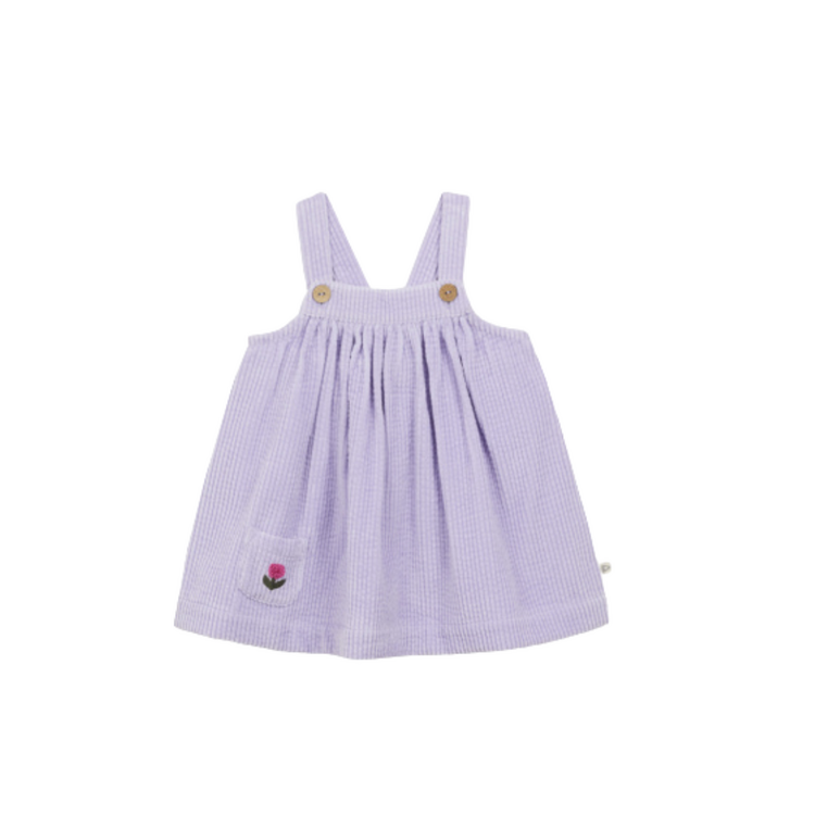 Arsène & Les Pipelettes Robe Velours - Lilas