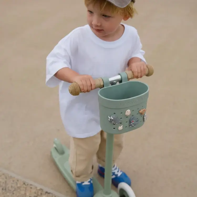 Banwood Mandje Pins - Dinosaurs