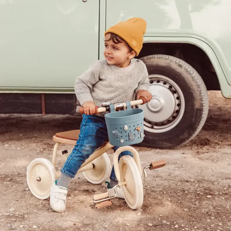 Banwood Pin & Ride Mandje - Teal