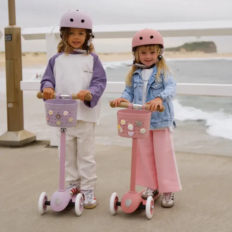 Banwood Pin & Ride Mandje - Raspberry