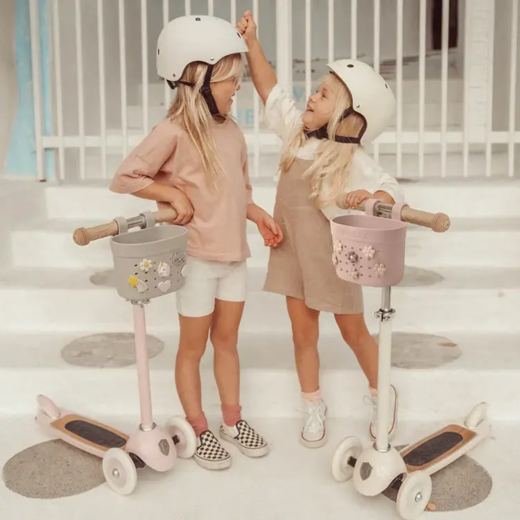 Banwood Pin & Ride Basket - Faded Pink