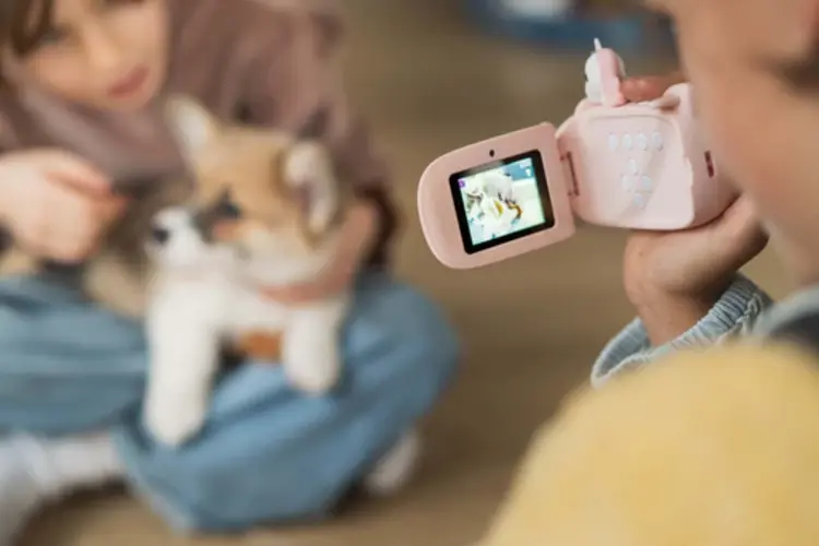 The Zoo Family Zoo Video - Unicorn