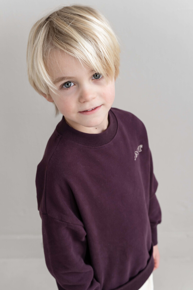Jenest Jnst Sweater - Cherry Bordeaux