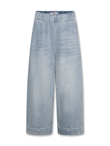 American Outfitters Asa Pants Light Coopers - Wash Light
