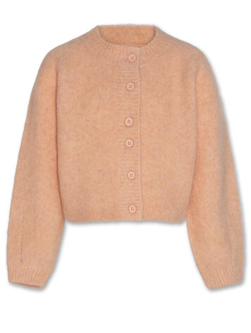 American Outfitters Anni Cardigan - Rose
