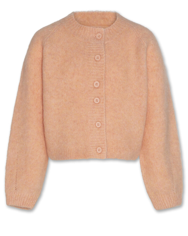 American Outfitters Anni Cardigan - Rose