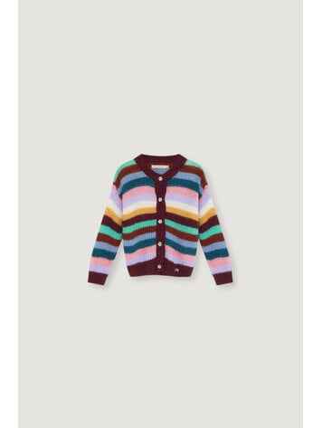 The New Society Julia Cardigan - Multicolor Stripes