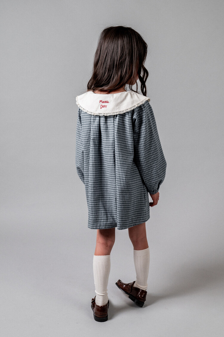 Birinit Gingham Embroided Dress - Vichy Indigo