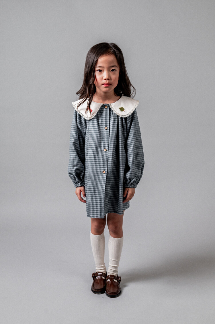Birinit Gingham Embroided Dress - Vichy Indigo