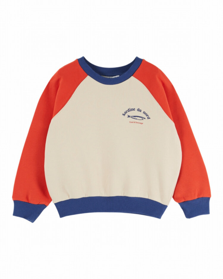 Emile et ida Sweat Colorblock Imprime - Tricolore