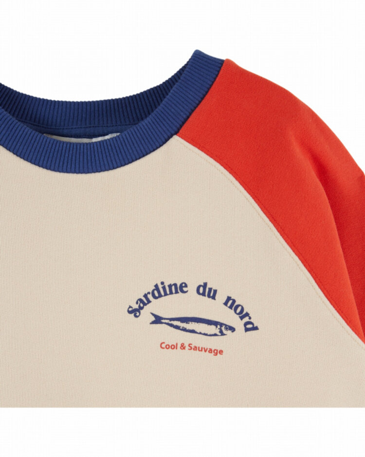 Emile et ida Sweat Colorblock Imprime - Tricolore