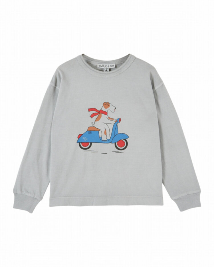 Emile et ida T-shirt Motif Place Fox - Koala Chien