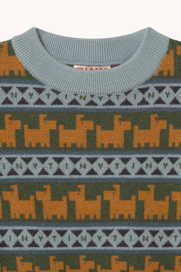 Tiny Cottons Dogs Sweater