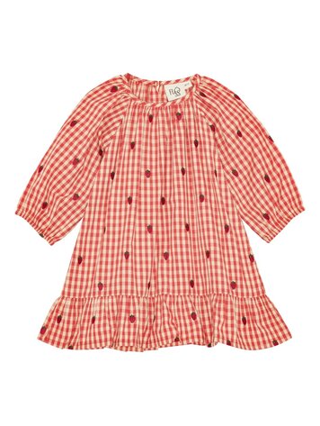 Flöss Molly LS O-N Dress - Berry Gingham