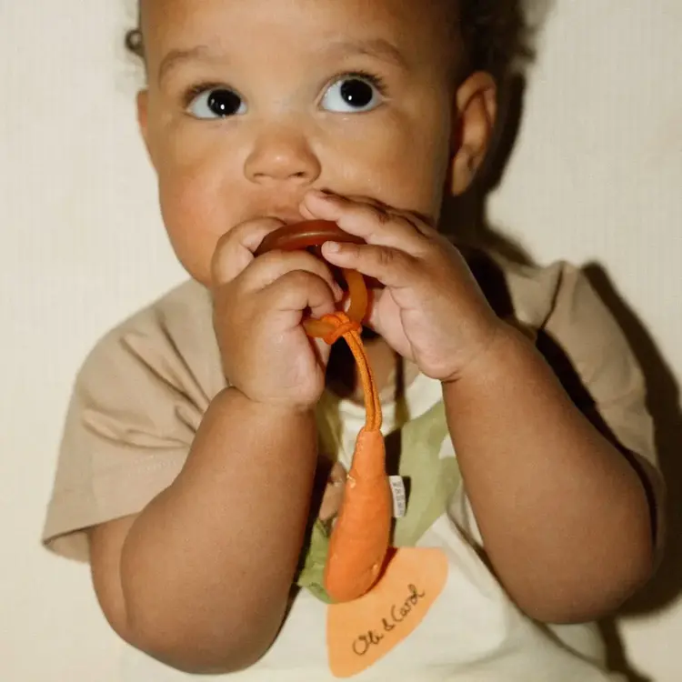 Oli & Carol Cathy the Carrot Pacifier Clip