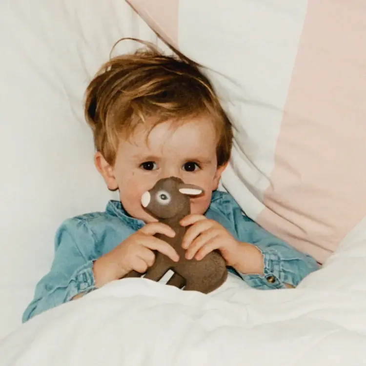 Oli & Carol Teether - Hector The Donkey