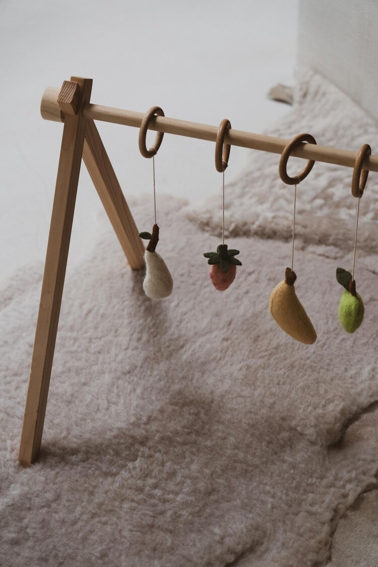 Quax Activity Toy Set - Fruit