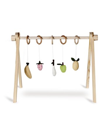 Quax Activity Toy Set - Fruit
