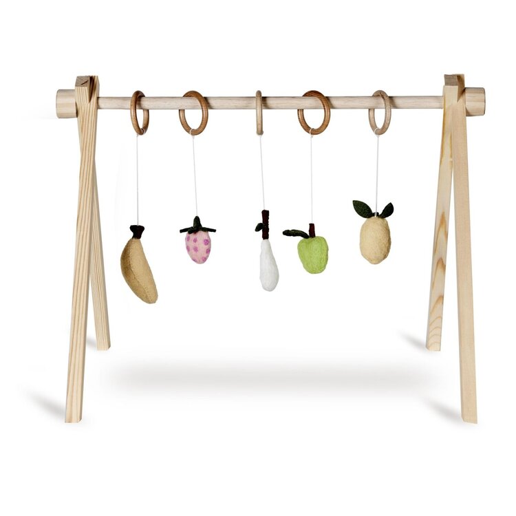 Quax Activity Toy Set - Fruit