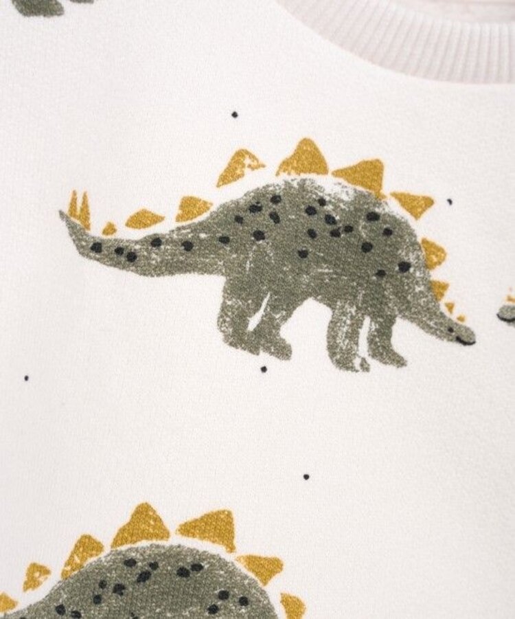 Play Up Printed Fleece Sweater - Dino