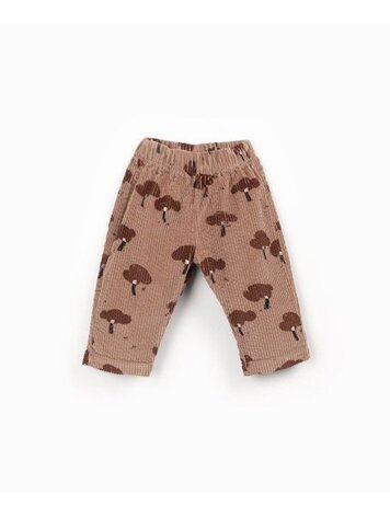 Play Up Printed Corduroy Trousers - Drawing
