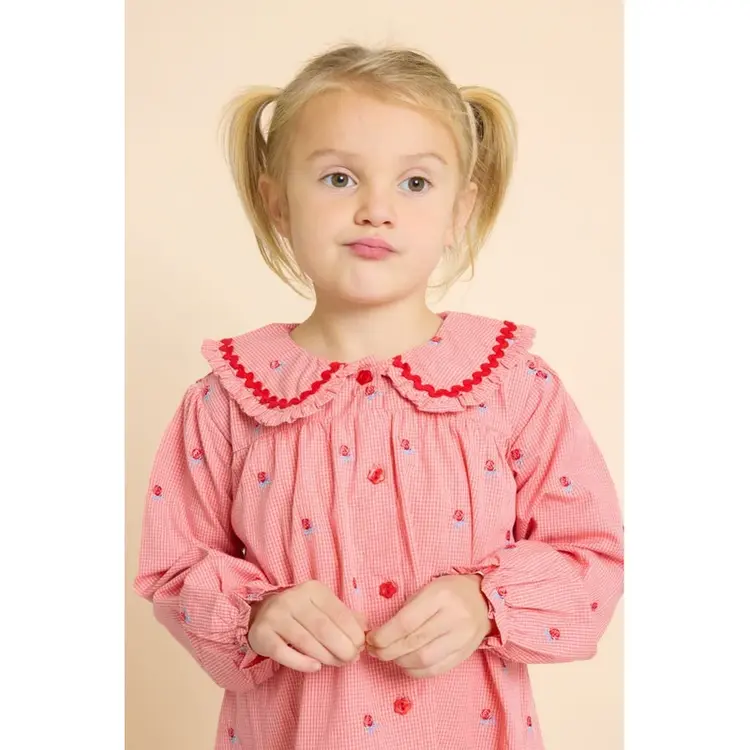 Flöss Sonja Blouse - Pink Rose Gingham