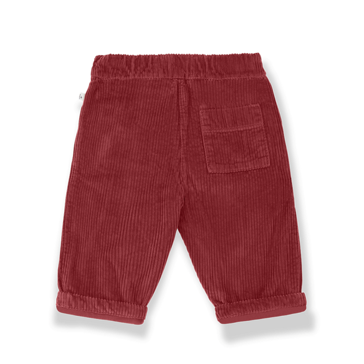 1+ in the family Quebec Lined Pants - Fiamma