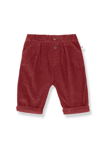 1+ in the family Quebec Lined Pants - Fiamma
