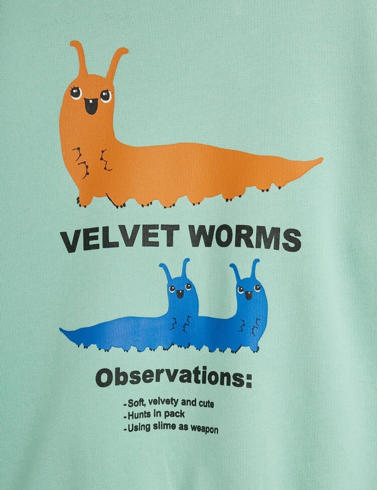 Mini Rodini Velvet Worms Observations SP Sweatshirt - Green