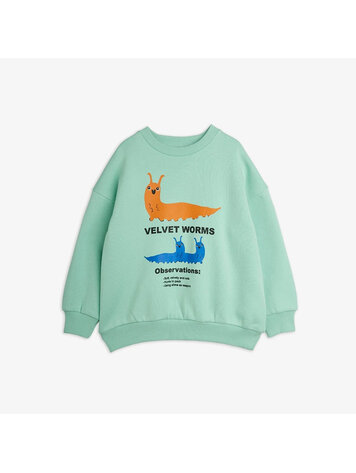 Mini Rodini Velvet Worms Observations SP Sweatshirt - Green