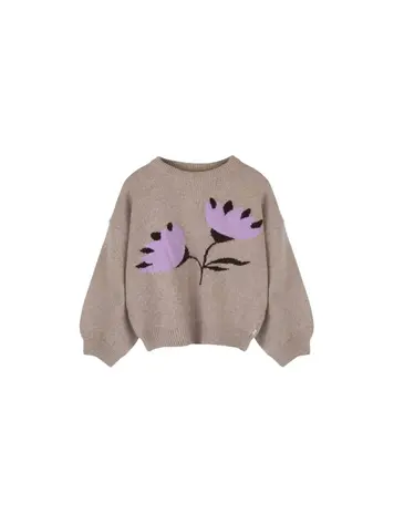 Jenest Belly Pullover - Beige Melange
