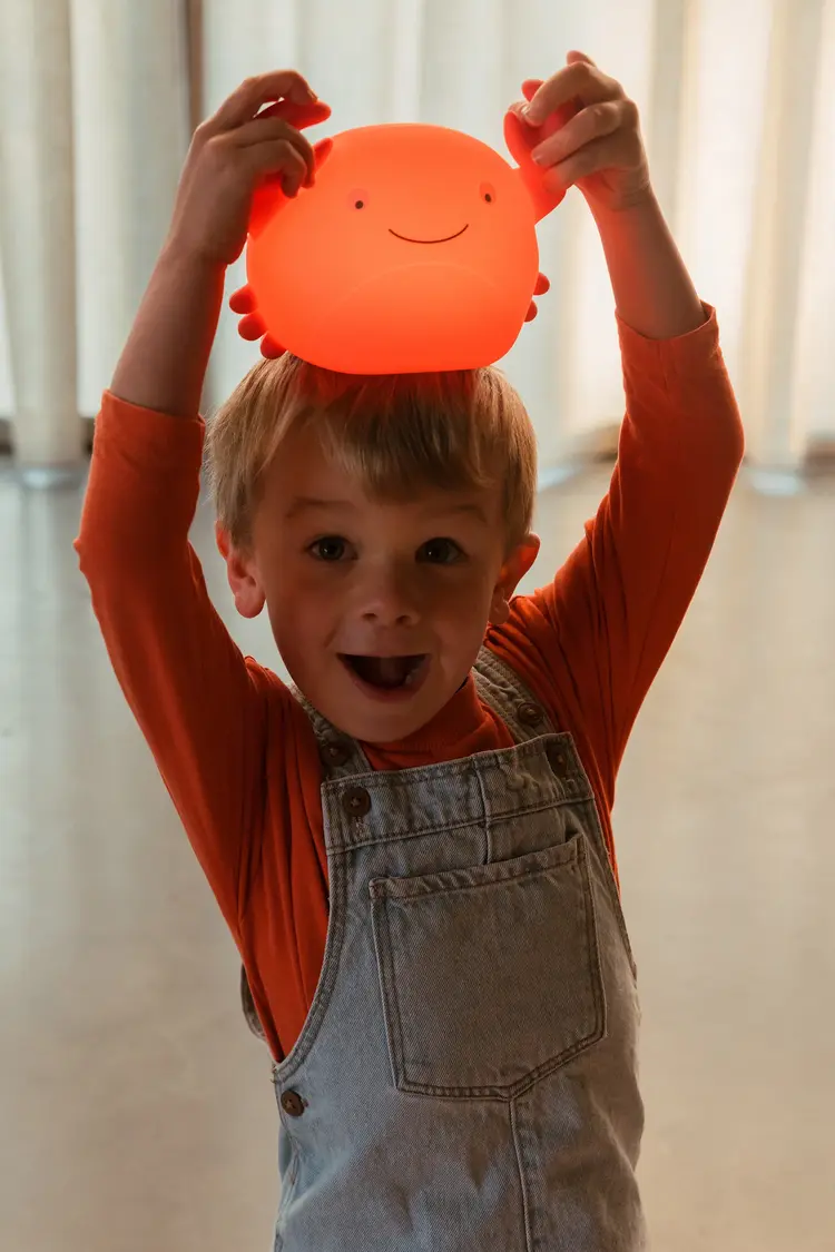 Atelier Pierre Theo Crab Coral Led Night Light