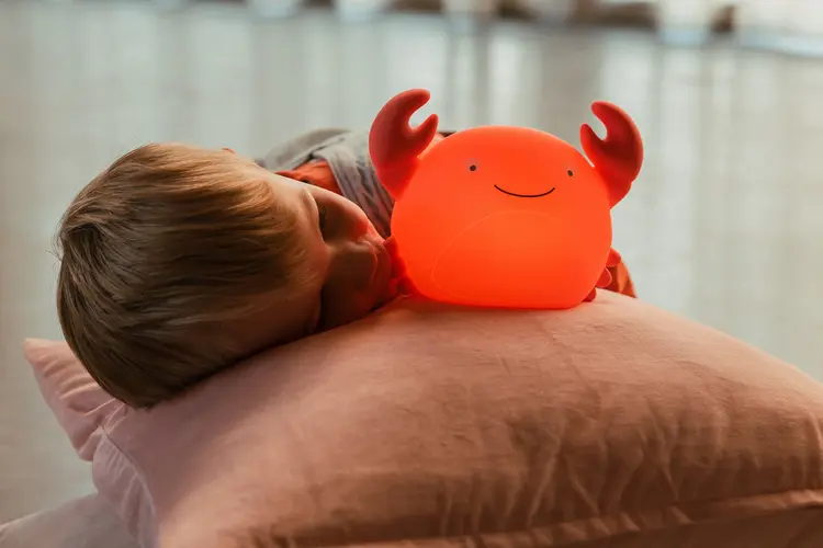 Atelier Pierre Theo Crab Coral Led Night Light