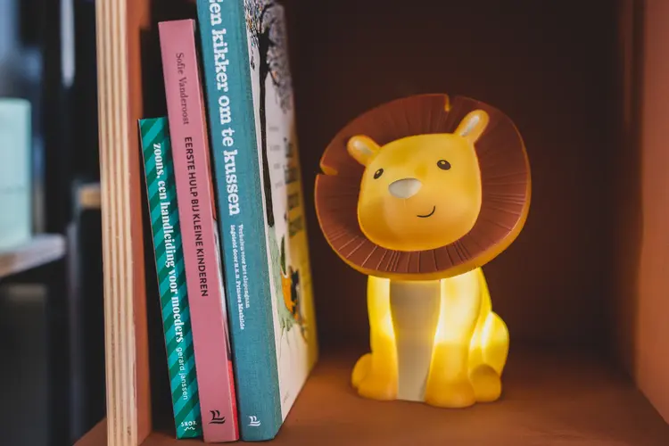 Atelier Pierre Hakuna Leeuw Led Lampje