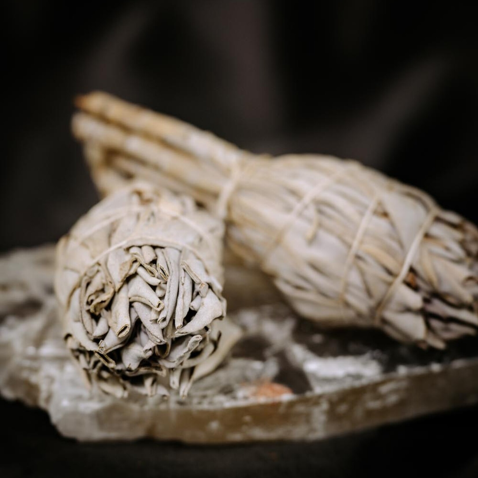 Witte salie 2 Pack smudgesticks