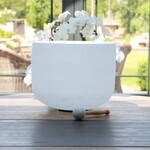 Toon A (Derde oog) 12 inch Kristallen Klankschaal