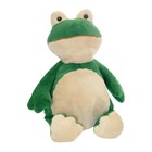 Embroider Buddy Grenouille