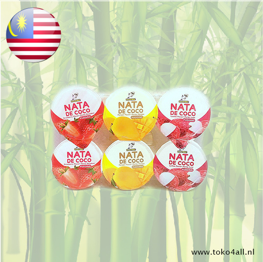 Nata de Coco Pudding 510 gr