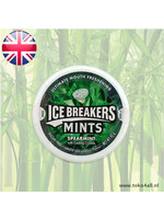 Mints Spearmint 42 gr