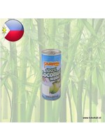 Philippine brand Kokosnoot Water 250 ml