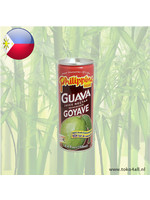 Philippine brand Guava Juice Nectar 250 ml