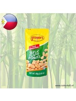 Garlic Flavor Peanuts 80 gr