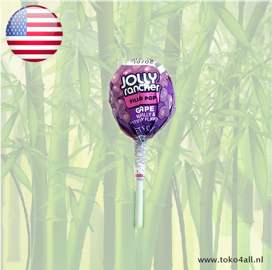 Lollipop Grape 16 gr