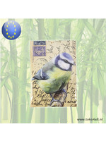 Fragrance bag Great tit (Fresh Cotton)