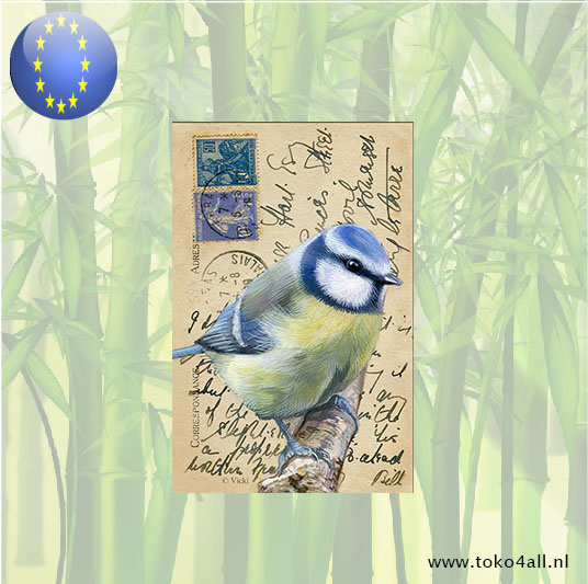Great Coal Tit Card Double sided with envelope 115 x 175 mm