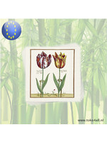 Napkins Tulips 20 st 33 x 33 cm