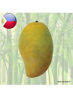 Fresh Philippine Mango Pre Order 1 kilo ETA: end of March